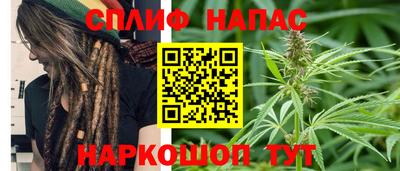 тгк Гусев